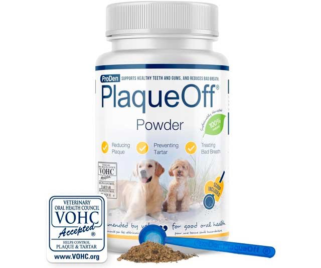 Polvos para mascota que combaten mal aliento, sarro y caries