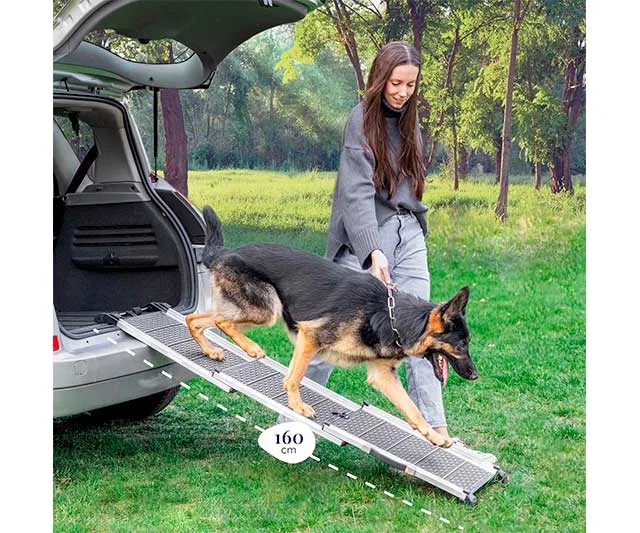 Rampa para perros retráctil
