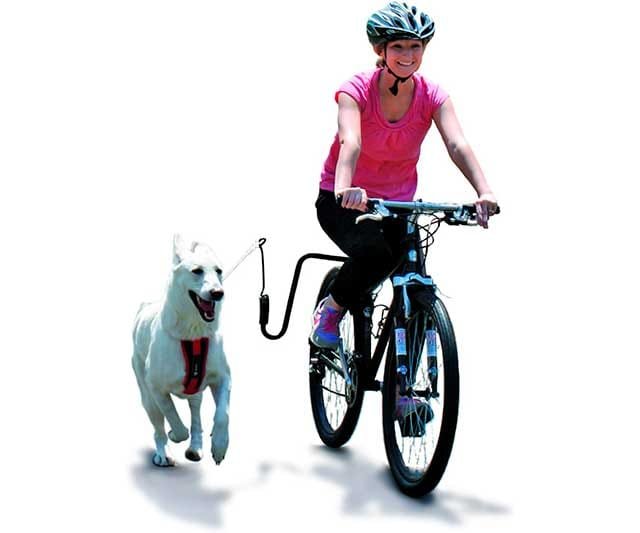 Correa de perro para bicicleta