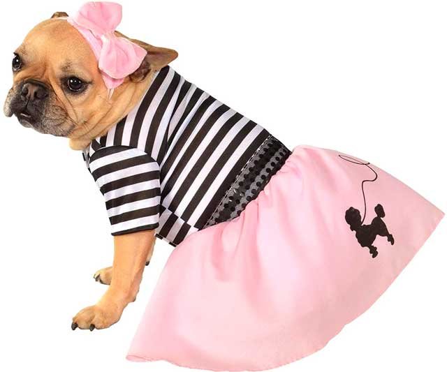 Disfraz para perro de Halloween