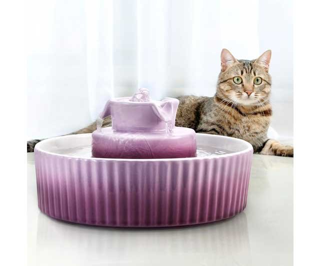 Bebedero de Agua con Filtro para Gatos