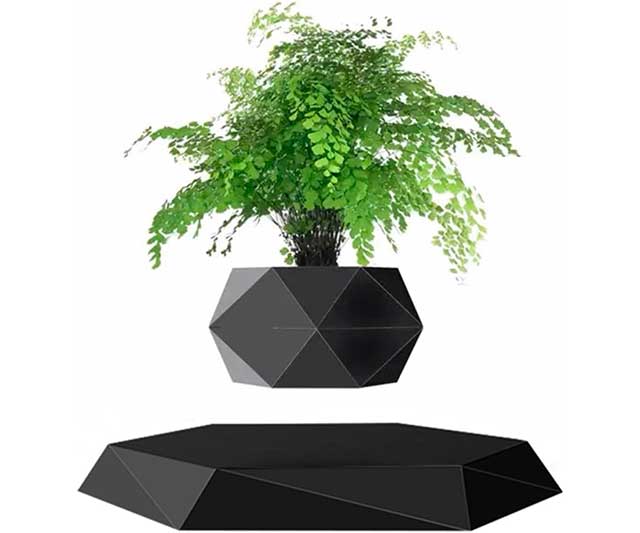 Maceta Bonsai Levitación Magnética – Decoración Flotante Única 0 (0)